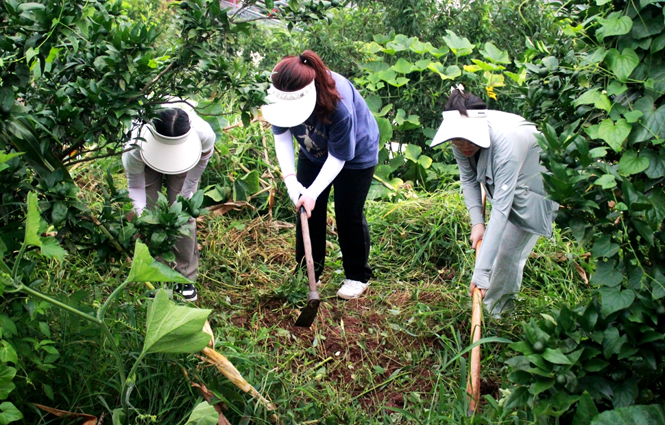 “助力乡村发展,我们在行动”1 “助力乡村发展,我们在行动”1