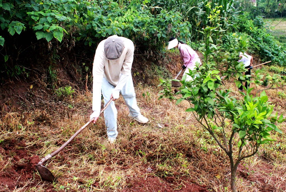 “助力乡村发展,我们在行动”2 “助力乡村发展,我们在行动”2