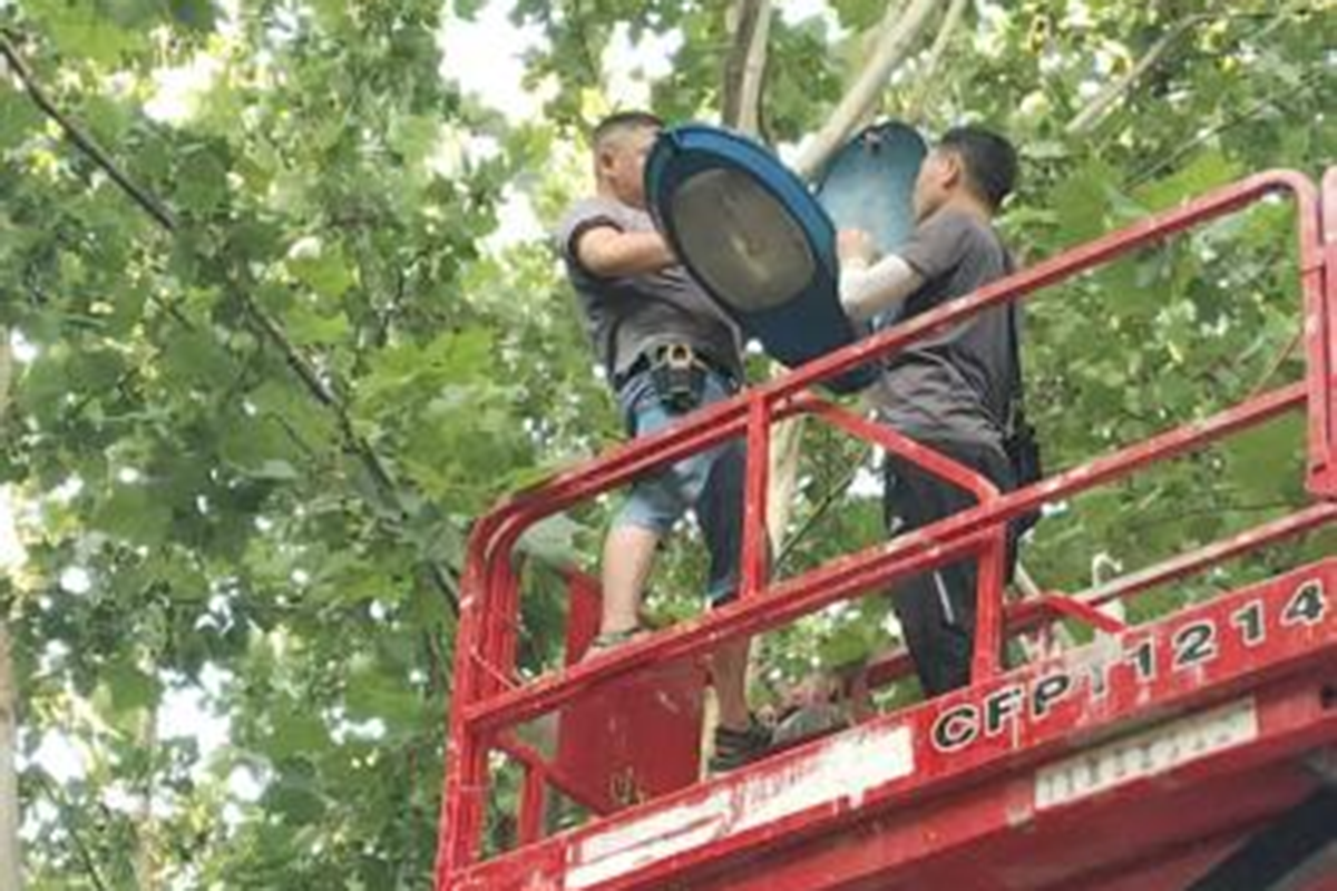 微信图片_20250803140034 微信图片_20250803140034