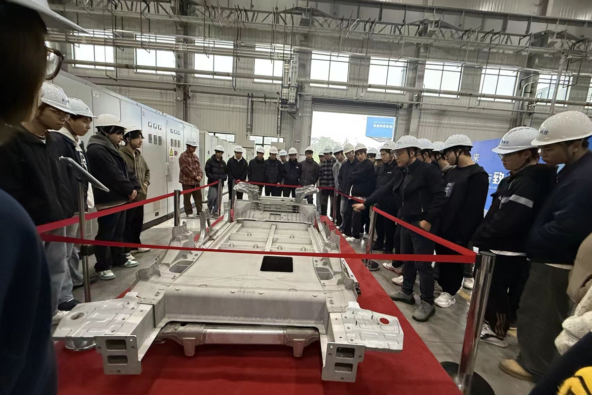 d41efa500f13b95724d641753e278af5