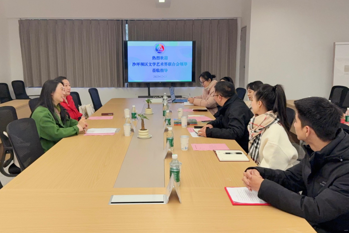 沙坪坝1 沙坪坝1