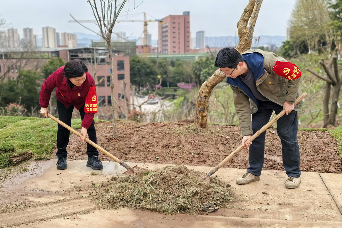 微信图片_20260312123858_1861_1666 微信图片_20260312123858_1861_1666