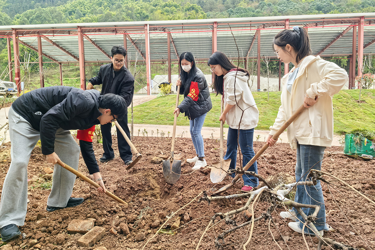 微信图片_20260312123853_1857_1666 微信图片_20260312123853_1857_1666